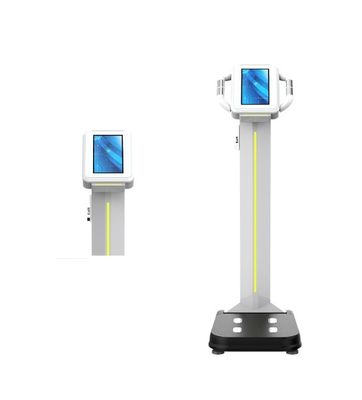 Máquina profesional de masa corporal de grasa Muscular de IMC Escala de medición precisa del peso para la salud