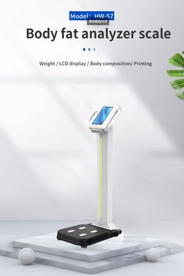 Diseño 2023 Máquina de análisis digital de grasa corporal para medir el peso y la composición corporal