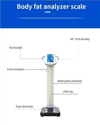 Diseño 2023 Máquina de análisis digital de grasa corporal para medir el peso y la composición corporal