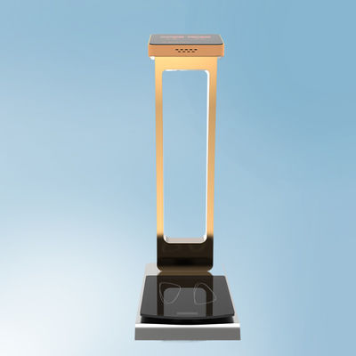 Pesas de equipaje de 300 kg con soporte personalizado de ODM