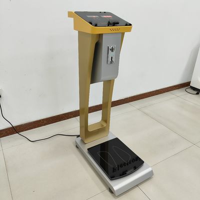Pesas de equipaje de 300 kg con soporte personalizado de ODM