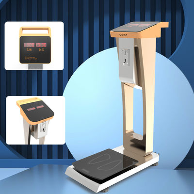 Moneda operada en hoteles y aeropuertos Escala de equipaje de 300 kg con pantalla LED de alta precisión