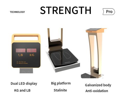 Gimnasio Balanza de peso digital máquina de pesaje humana operada por monedas con soporte personalizado