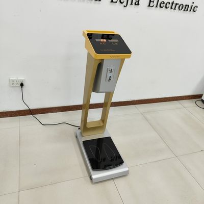 Escala de peso de las monedas para el cuerpo humano y el equipaje de equipaje con un peso de 300 kg de carga nominal