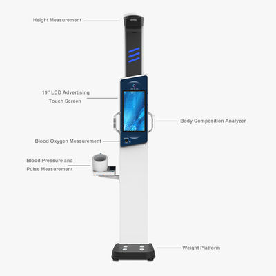 Analista de cuerpo de pantalla táctil LCD de 19 pulgadas para análisis completo del peso y la altura de los adultos