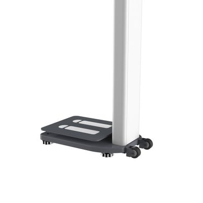 Soporte de software personalizado Máquina expendedora de análisis de grasa corporal completa con impresora térmica